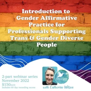 Introduction to Gender Affirmative Practice for Professionals Supporting Trans and Gender Diverse People