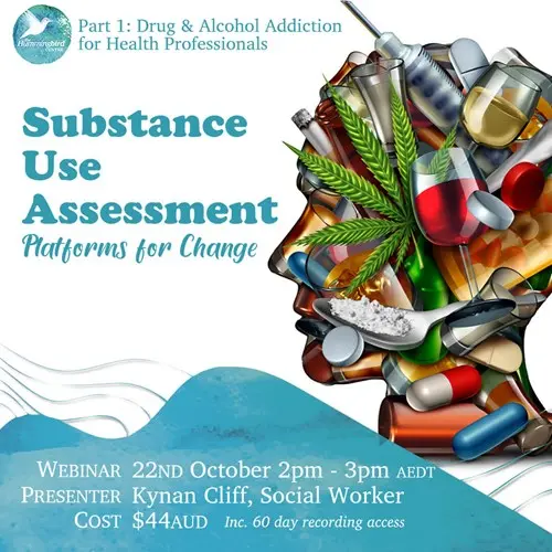 Substance Use Assessment at The Hummingbird Centre, Newcastle Psychologist