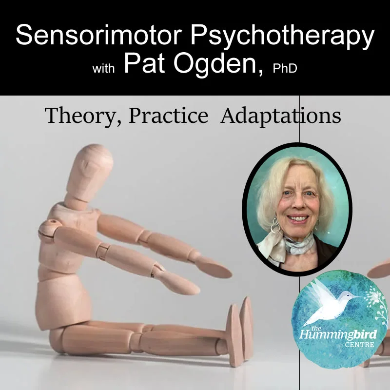 Sensorimotor Psychotherapy at The Hummingbird Centre, Newcastle Psychologist