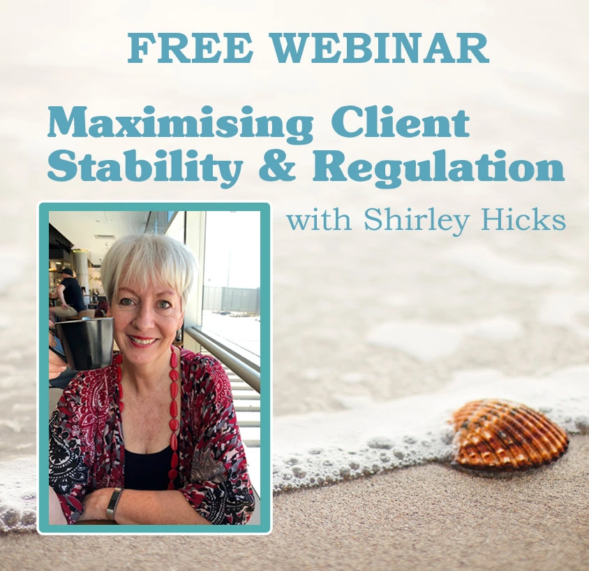 Free Webinar on Maximising Client Stability & Regulation with Shirley Hicks at The Hummingbird Centre, Newcastle Psychologist
