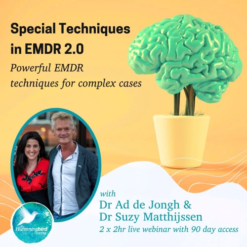Special Techniques in EMDR 2.0 at The Hummingbird Centre, Newcastle Psychologist