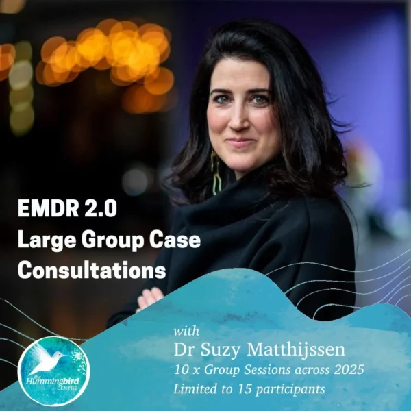 EMDR2.0 Dr Suzy at The Hummingbird Centre, Newcastle Psychologist